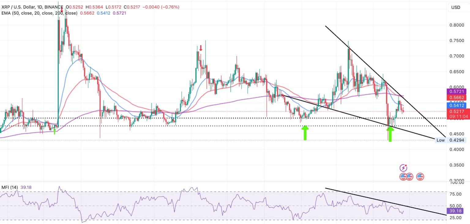 Ripple da XRP Uzman Görüşü Bu Veriler Yatırımcıları Endişelendirdi