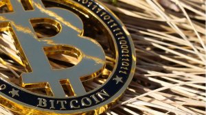 Ünlülerin Kripto Paralara Yaklaşımı Nasıl?