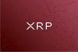 XRP 2020’de Yüzde 100 Artabilir Mi? Analist Yorumladı!