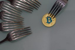 Dikkat: Bitcoin’e (BTC) Yeni Bir Fork Mu Geliyor?