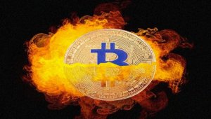 Lolli CEO’su: Bitcoin Halving Henüz Fiyatlanmadı!