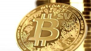 Bitcoin SV Nereden Alınır?