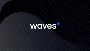 Waves Coin Nereden Alınır?