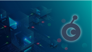 OST Coin Nasıl Alınır?