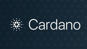 Cardano’da Kritik Metrik Alarm Veriyor: Düşüş, Derinleşebilir!