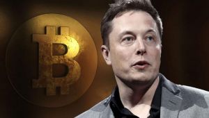 Elon Musk Neden Bitcoin Alıyor?