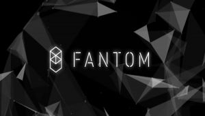 Fantom Coin Nasıl Alınır?