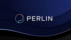 Perlin Coin Nasıl Alınır?