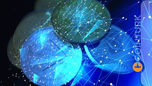 Holochain (HOT), REEF Coin ve Wink (WINK) Yorumları