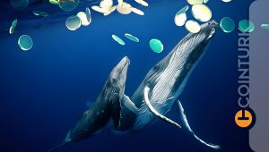 Santiment, Balinaların Yüklü Miktarda Alım Yaptığı 4 Altcoin’i Açıkladı