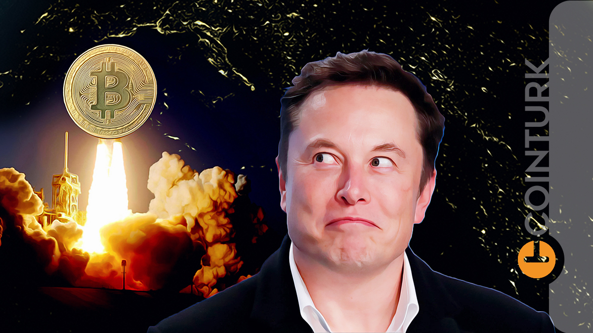 btc elon