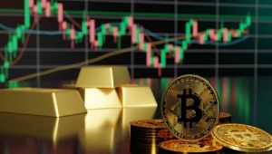 ABD’li Yatırımcıdan Bitcoin (BTC) Açıklamaları: Finansal Felaket İçin Bir Sigorta!