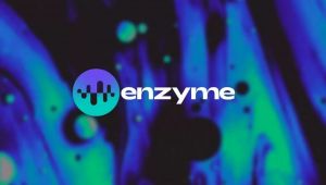 Enzyme Coin Nedir?