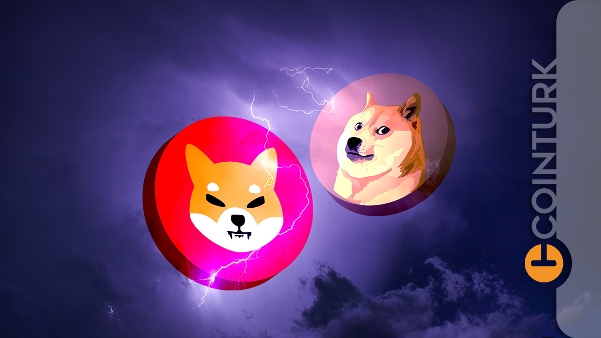 Dogecoin, Çin'in Kripto Yasağının Ardından Yüzde 10 Düştü! Bu Şaka Coin'lerde Kayıplar Büyük