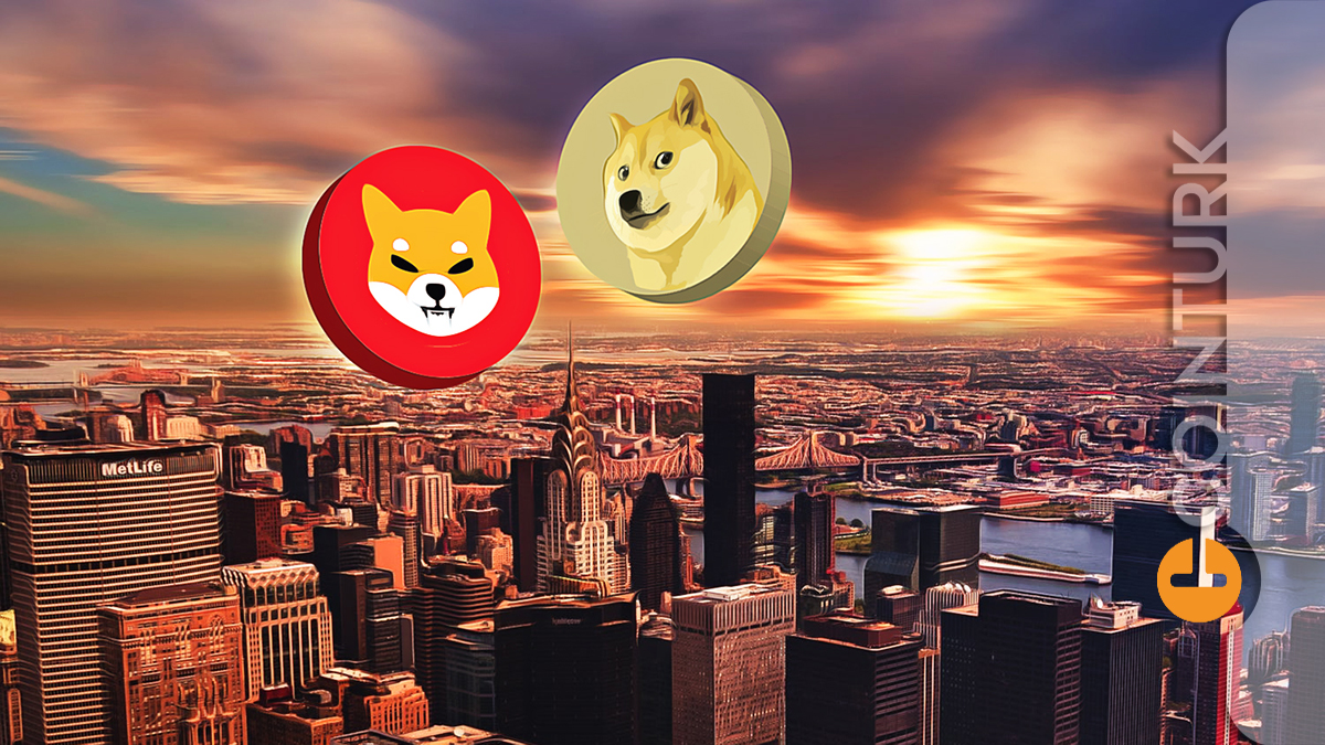 Dogecoin (DOGE) ve Shiba Inu'da (SHIB) Durum Kritik! Büyük Bir Düzelme Gelebilir