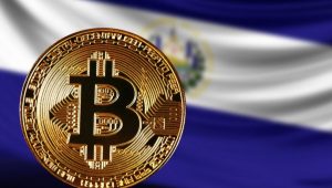 El Salvador, Bitcoin Alımlarından Elde Ettiği Kârın Bir Kısmını, Veteriner Hastanesi İnşa Etmek İçin Kullanacak