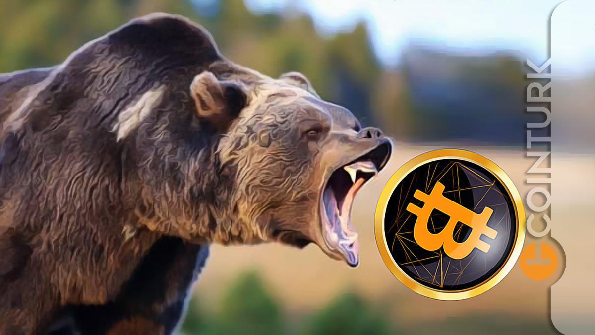 Usta Trader Peter Brandt Açıkladı! Bitcoin Ayı Piyasası Sinyali mi Veriyor?