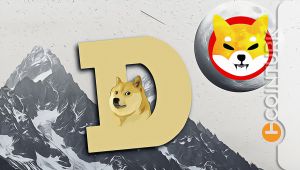 Dogecoin ve Shiba Inu Yükseliyor: SHIB, DOGE’u Geride Bıraktı!