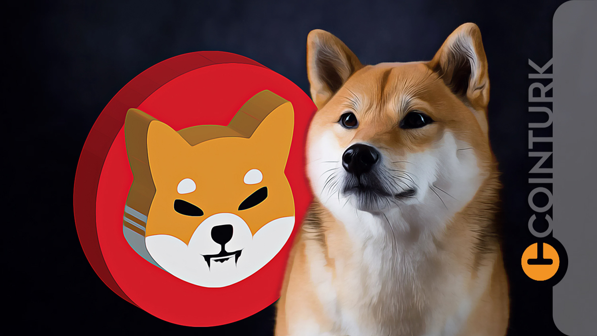 Ünlü Kripto Para Borsası, Dogecoin ve Shiba Inu'yu Listeliyor!