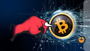 Ünlü Analist Açıkladı! Bitcoin ve Kripto Boğa Koşusu 2022’ye Uzayabilir! İşte Nedenleri