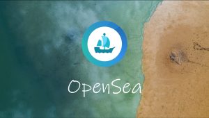 OpenSea, “Seaport” İsminde Yeni Bir NFT Pazar Yeri Protokolü Başlattığını Duyurdu!