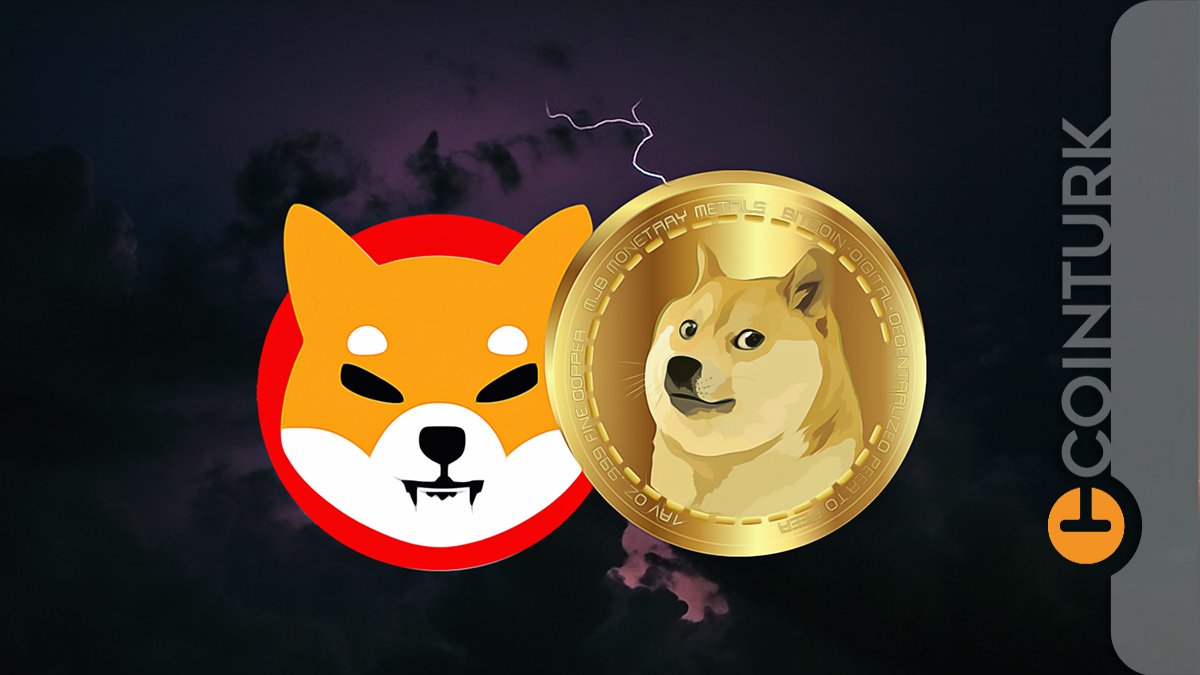 Ne SHIB Ne DOGE! Bu Meme Coin 31 Ekim’de Tarih Yazacak: Kabul Edildi!