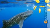 Shiba Inu’yu Deviren Bu Altcoin Ethereum Balinaları Arasında En Büyük Pozisyona Sahip