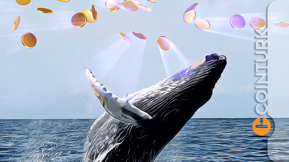 Dev Ethereum Balinaları Shiba Inu ve Bu 3 DeFi Altcoin'ine Akın Ediyor!