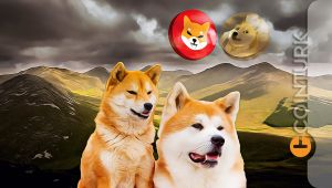 Shiba Coin ve Dogecoin Yorumları: Bu Meme Token’lar Diğerlerinden Ayrıldı!