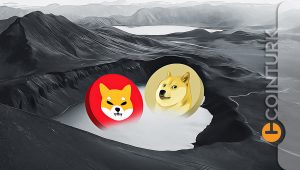 Meme Coinlerde Son Durum: Dogecoin, BabyDogeCoin, Shiba ve Floki!