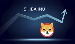 Shiba Inu (SHIB) İçin Kritik Hafta! Fiyat Etkilenebilir!