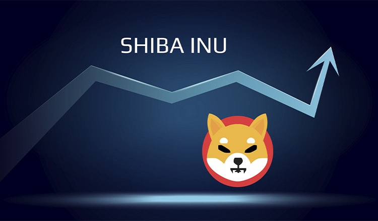 Shiba Inu (SHIB) up 7% this week!  Why the price may experience more increases