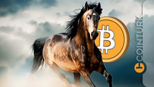 Ünlü Analist, Büyük Bitcoin Rallisini İşaret Ederek Tarih Verdi! Mevcut Düzeltmeyi Değerlendirdi