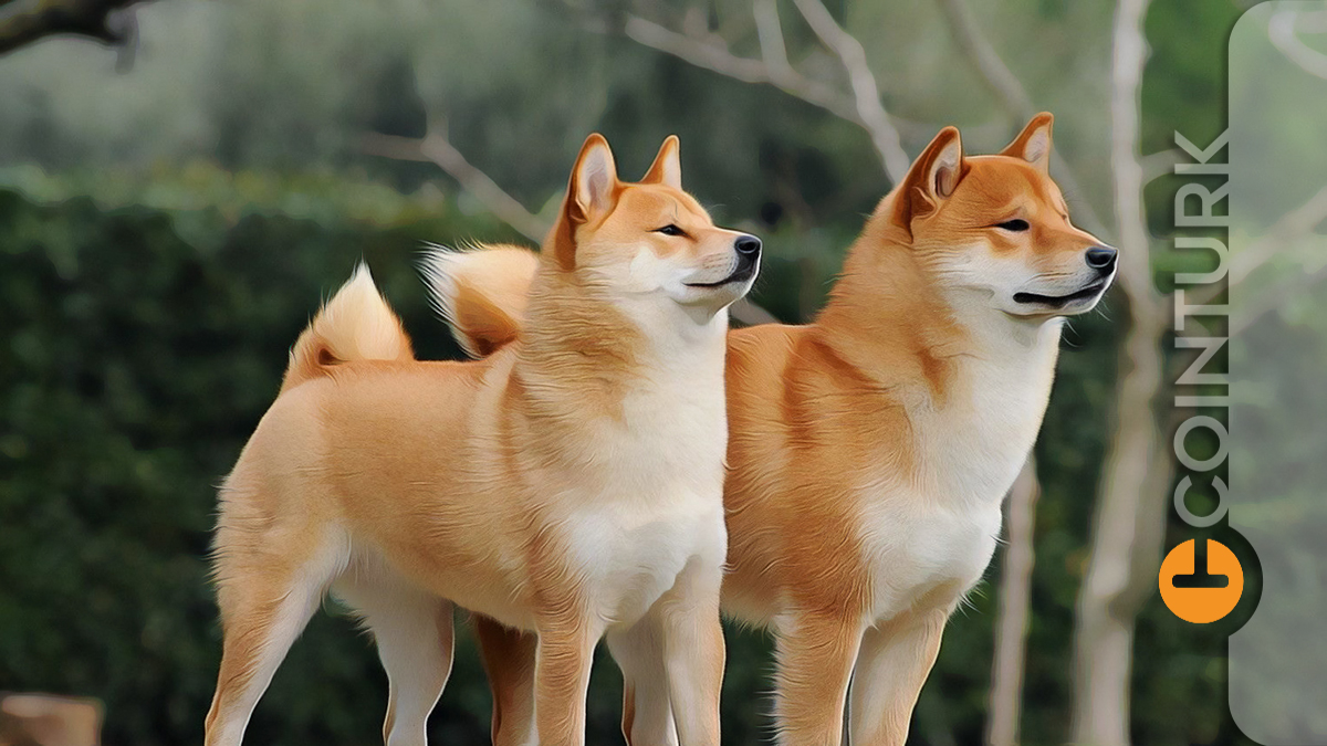 Yatırımcılar, Bu Tarihe Dikkat! Dogecoin ve Shiba Inu'da Önemli Gelişmeler Yaşanıyor