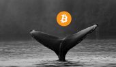 Bitcoin Balinaları Bu Yöntemle Cüzdanlarını Büyütüyor!