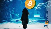 Ton Vays’ten Korkutan Tablo: Bitcoin’de Düşüş Derinleşecek Mi?