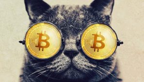 4 Uzman Yanıtladı: Bitcoin  “Ölü Kedi Sıçraması” mı Yapıyor?