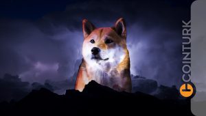 Shiba Coin Yükselişinin 6 Sebebi! Ralli Devam Edecek Mi?