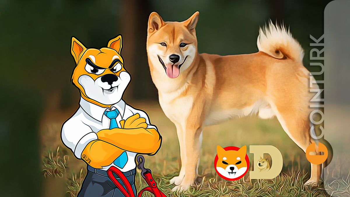 Büyük Harekete Hazırlanıyorlar! DOGE ve Shiba Coin Yorumları!