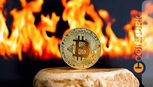 Aman Dikkat! Ünlü Analiz Şirketine Göre Bitcoin İçin Düşüş Neden Bu Kadar Olası?