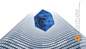 Ünlü Kripto Veri Sağlayıcısından Kritik Rapor Geldi! Neler Oluyor?