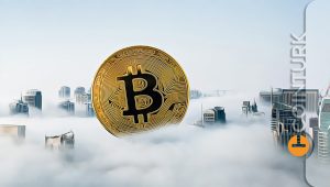 Ne Kripto Kışı, Ne Ayılar Hiç Biri Yıkamadı! 2022 Yılında Bitcoin Öncülüğünde Oranlar Yükseldi!