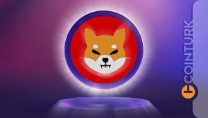Shiba Inu’de (SHIB) Güncel Veriler! İşte Uzman Görüşü!