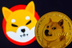 Shiba Inu ve Dogecoin Analizi: En İyi 2 Meme Coin İçin Sırada Ne Var?