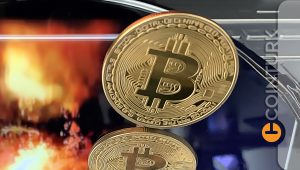 14.46 Milyon BTC Bu Grubun Elinde! Bitcoin Onların Oyuncağı Olursa Fiyat Yükselir Mi?