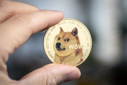 Dogecoin Fiyatı İçin Muhtemel Senaryo: Buna Hazır Olun!