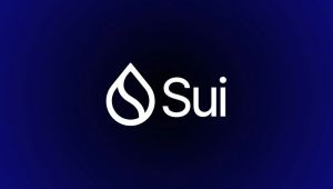 Sui (SUI) Coin Nedir? 