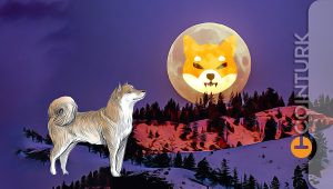 Yanılmayan Kahin Makineler Kararını Verdi: 1 Haziran’da Shiba Inu (SHIB) İşte Bu Seviyede Olacak!