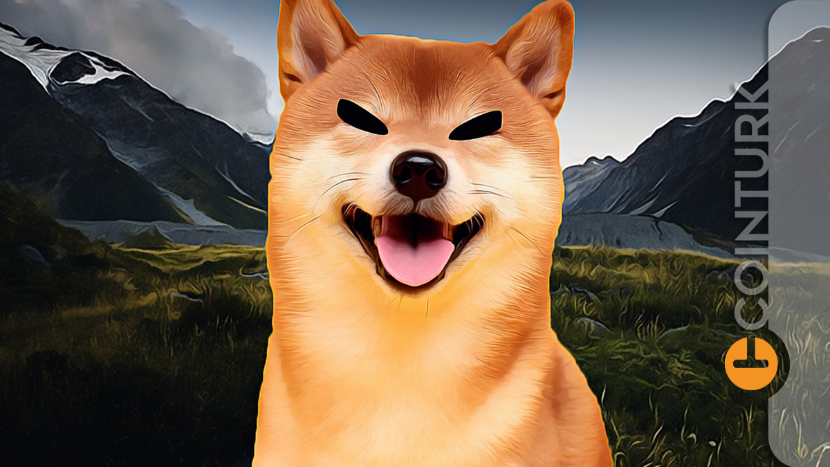 Shiba Inu (SHIB) İçin Heyecan Verici Haber: SHIB İçin Geliyor!