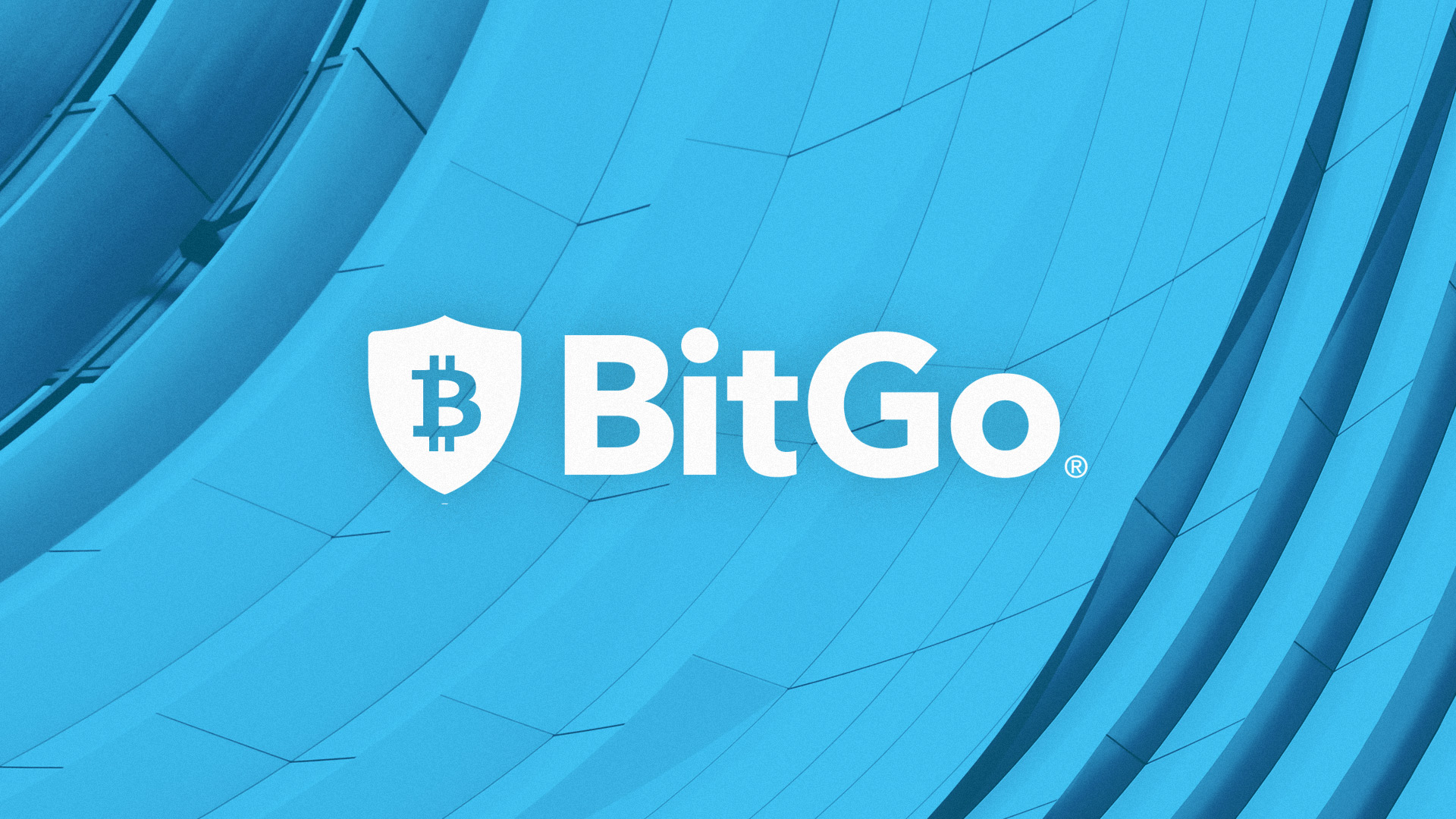 Bit go. BITGO. BITGO логотип. BITGO Crypto. Крипто-кастодиальные.